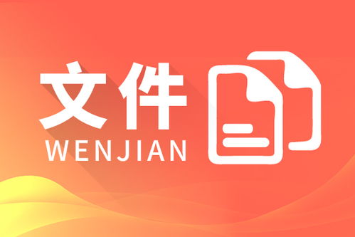 MACSV DCS 翻譯型仿真軟件開發(fā) 山東軟件開發(fā)團(tuán)隊(duì)的技術(shù)實(shí)踐